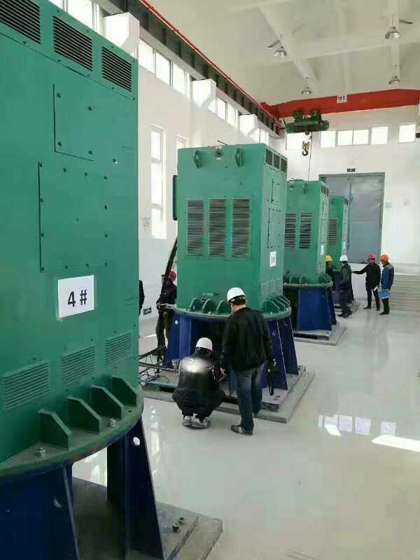 绥德某污水处理厂使用我厂的立式高压电机安装现场